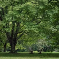 Image: John Wayne Gacy's First Wife - Marlynn Myers Image: John Wayne Gacy's First Wife - Marlynn Myers