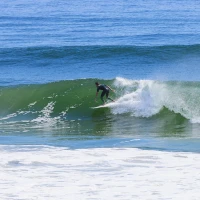 Massachusetts dumpster diving legality infographic. Massachusetts dumpster diving legality infographic.