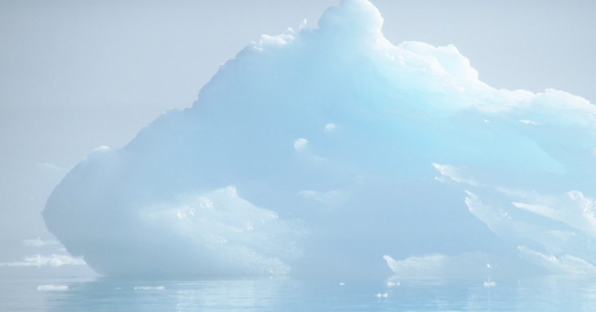 Guide to air frying frozen broccoli with culinary tips.