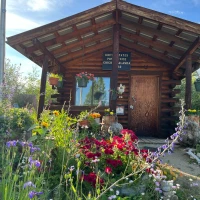 Baked Chicken Thighs and Vegetables at 350°F Meal Idea Baked Chicken Thighs and Vegetables at 350°F Meal Idea