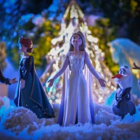 Steaming perfect frozen broccoli in pot. Steaming perfect frozen broccoli in pot.