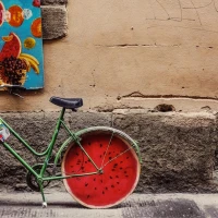 Guide to making easy, refreshing watermelon sticks snack. Guide to making easy, refreshing watermelon sticks snack.