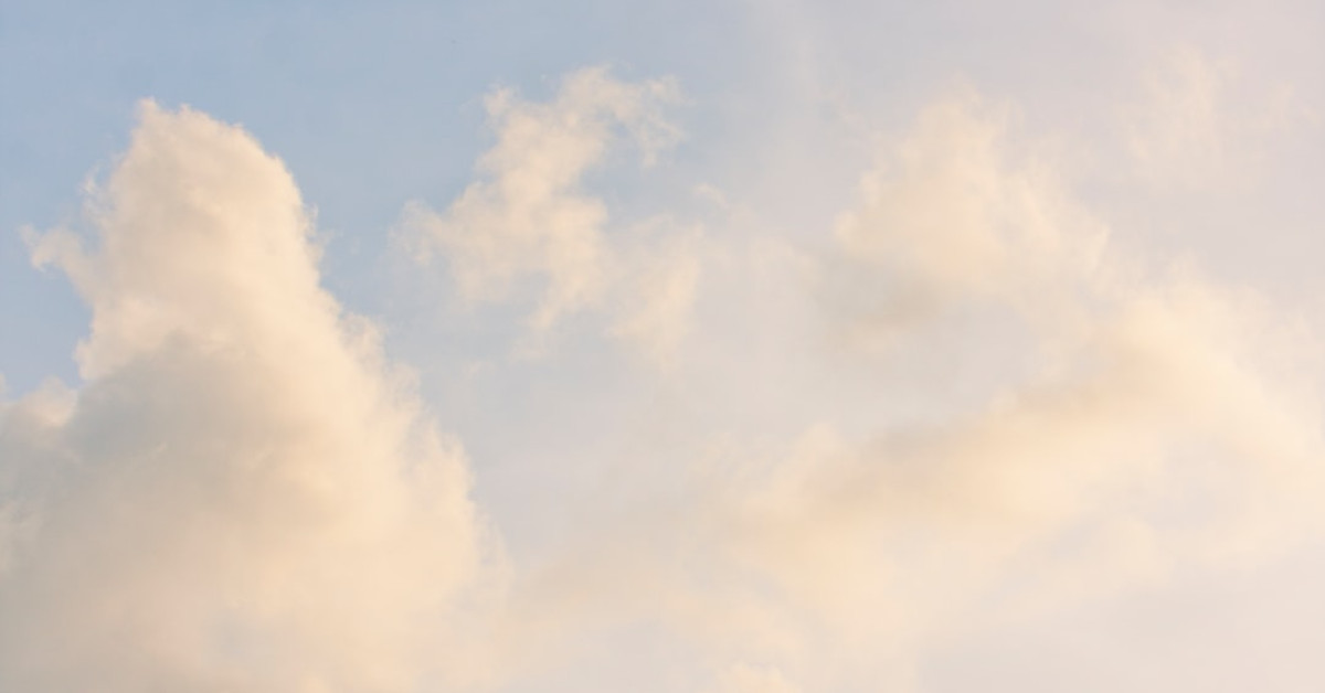 Juicy air-fried bone-in pork chops on a plate.