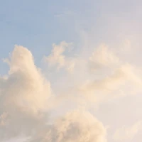 Juicy air-fried bone-in pork chops on a plate. Juicy air-fried bone-in pork chops on a plate.