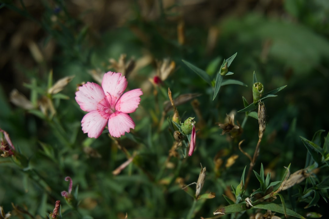 Guide to creating normal distribution graphs for data visualization.