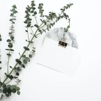 Vegetarian smoked brisket on wooden table Vegetarian smoked brisket on wooden table