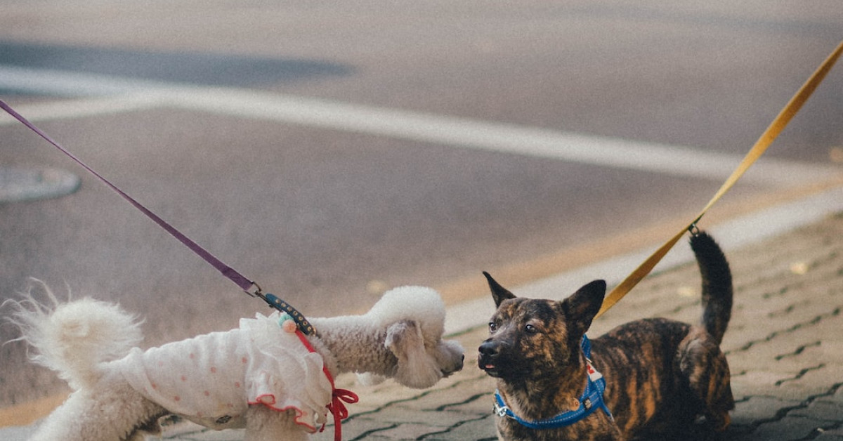 Paul Rudd's son Jack Sullivan Rudd: Fascinating facts revealed