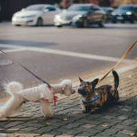 Paul Rudd's son Jack Sullivan Rudd: Fascinating facts revealed Paul Rudd's son Jack Sullivan Rudd: Fascinating facts revealed
