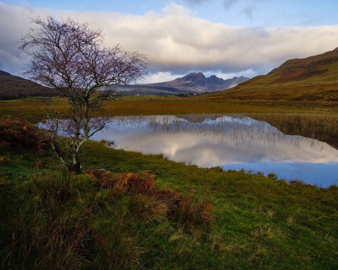 Meet Skye Herjavec, Robert Herjavec's daughter in this image.
