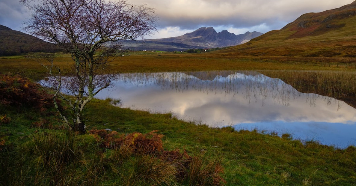 Meet Skye Herjavec, Robert Herjavec's daughter in this image.