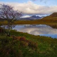Meet Skye Herjavec, Robert Herjavec's daughter in this image. Meet Skye Herjavec, Robert Herjavec's daughter in this image.