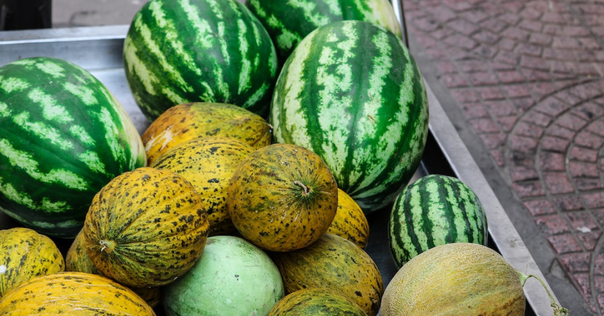 Melon prosciutto skewers on plate - gourmet appetizer.