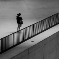 Colorful sugar cookies with vegetable decorations on a plate. Colorful sugar cookies with vegetable decorations on a plate.