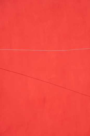 Mock Orange Top 10 Summer Flowering Shrubs for Full Sun: Boost Your Garden's Beauty