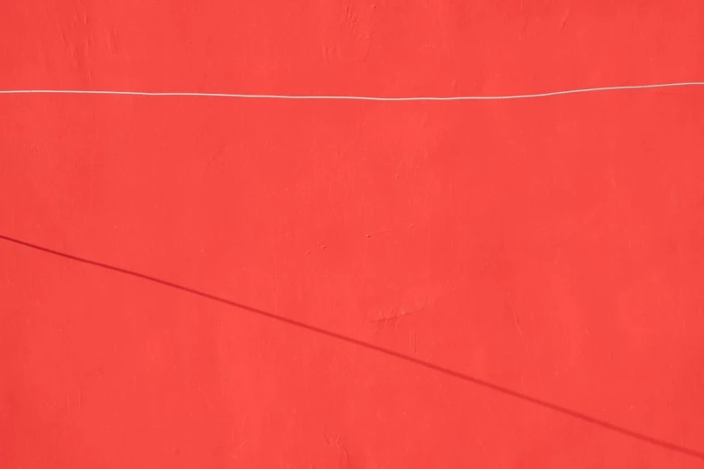 Mock Orange Top 10 Summer Flowering Shrubs for Full Sun: Boost Your Garden's Beauty