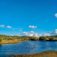 Monopoly GO game mod apk with unlimited money feature Monopoly GO game mod apk with unlimited money feature