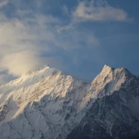 Mustang GT vs. GT Premium cars on display at showdown. Mustang GT vs. GT Premium cars on display at showdown.