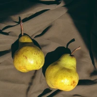 Inspirational life quotes on a compass-themed background. Inspirational life quotes on a compass-themed background.