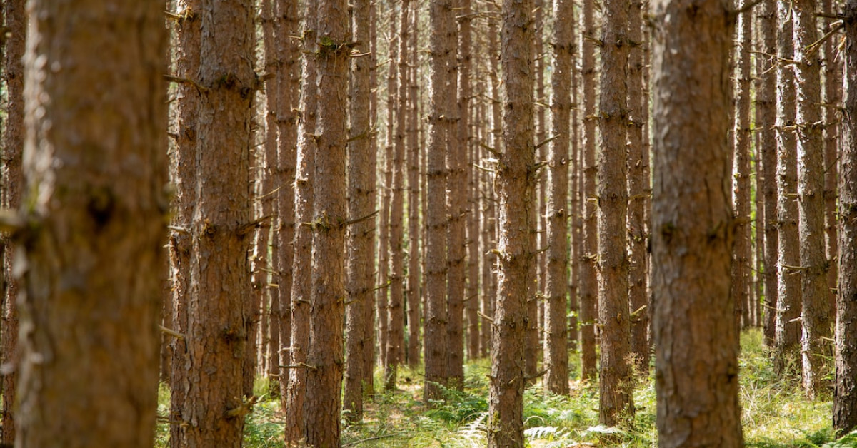 Understanding Dumpster Diving Laws in Pennsylvania