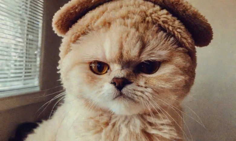 One Word Caption for Wednesday 280+ Hot Instagram Caption for Wednesday to Ignite Your Feed