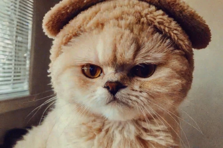 One Word Caption for Wednesday 280+ Hot Instagram Caption for Wednesday to Ignite Your Feed