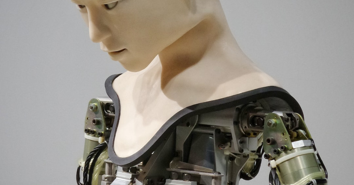 Golden-browned scallops with vegetables on plate