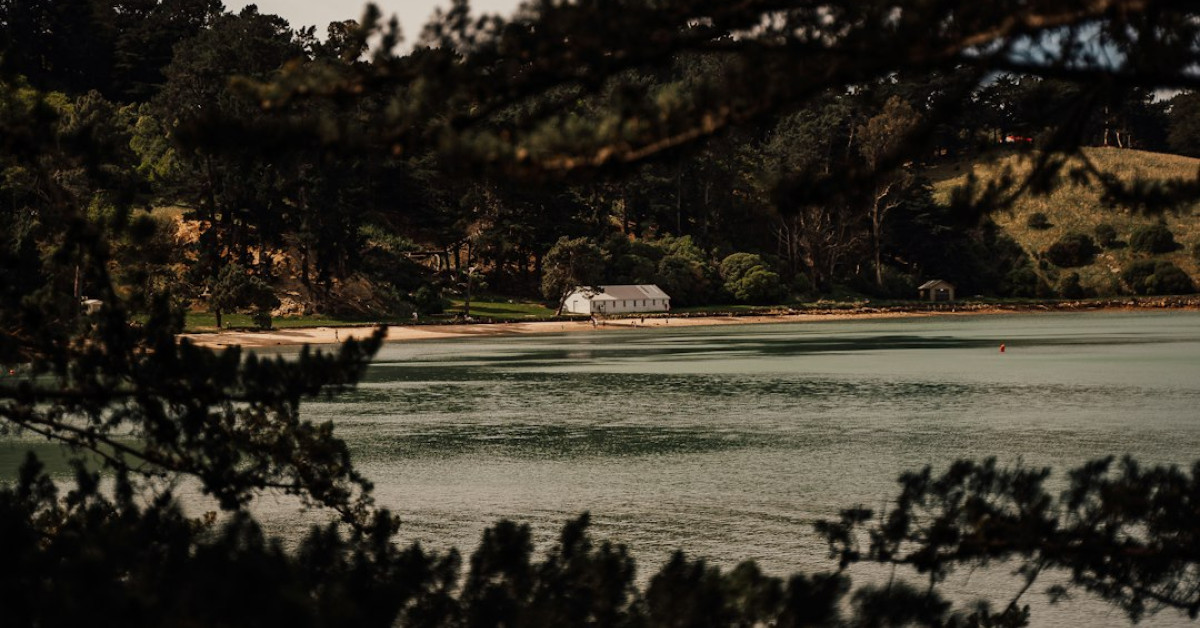 Quail in nature: detailed exploration and facts.