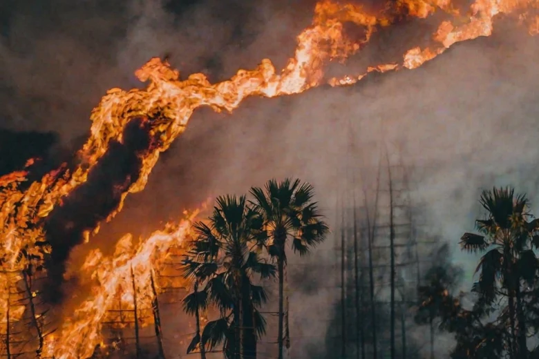 Questions about the captions 300+ Top Fire Instagram Captions for 2024 That Ignite Your Feed