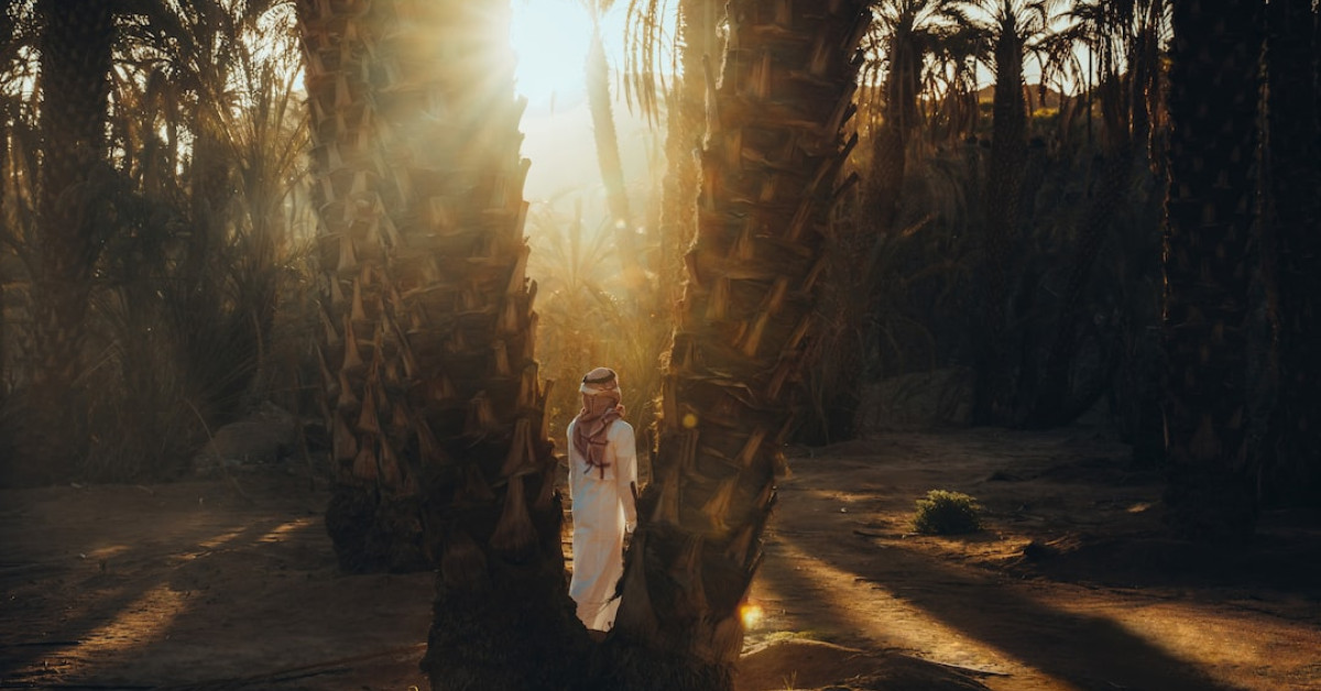 Entertainment world: a closer look at celebsuburb by Ray