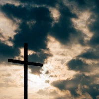 Image: Ron Howard's youngest son - Reed Cross Howard's untold facts. Image: Ron Howard's youngest son - Reed Cross Howard's untold facts.