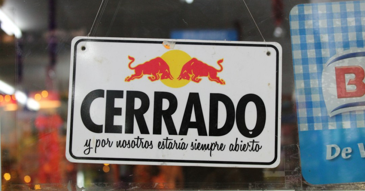 Costco Red Bull cans, economic coffee alternative for mornings.