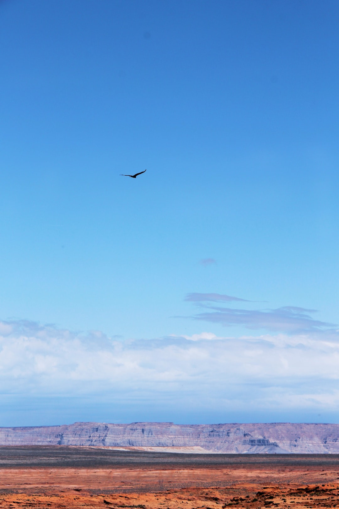 Rhys, Author at CelebSuburb, page 8 of 35 image