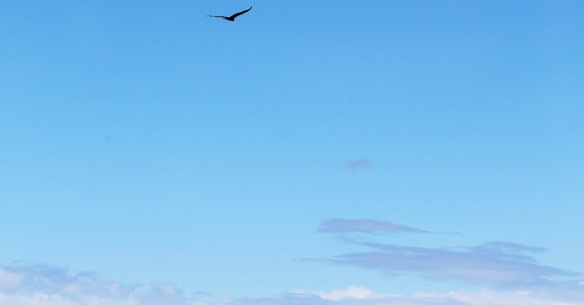 Rhys, Author at CelebSuburb, page 8 of 35 image