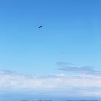 Rhys, Author at CelebSuburb, page 8 of 35 image Rhys, Author at CelebSuburb, page 8 of 35 image