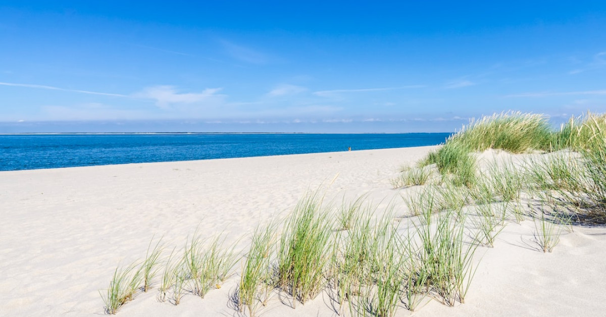 Top Mexican restaurants for unforgettable culinary experiences.