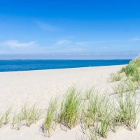 Top Mexican restaurants for unforgettable culinary experiences. Top Mexican restaurants for unforgettable culinary experiences.