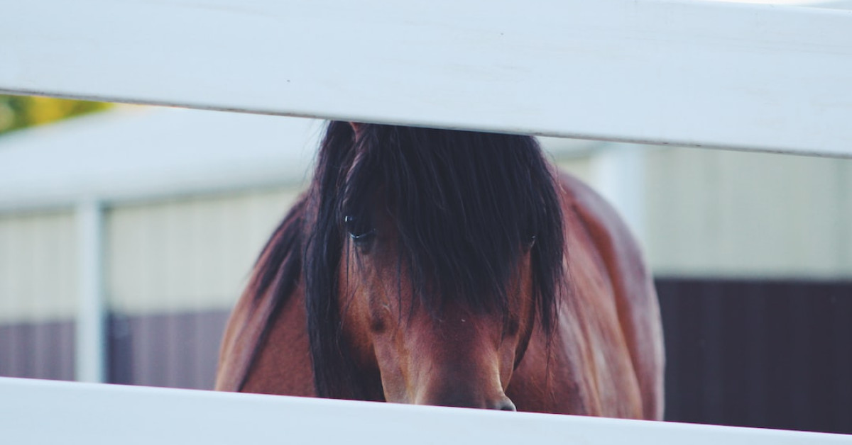 Delicious Ultimate Ranch Potatoes on a plate