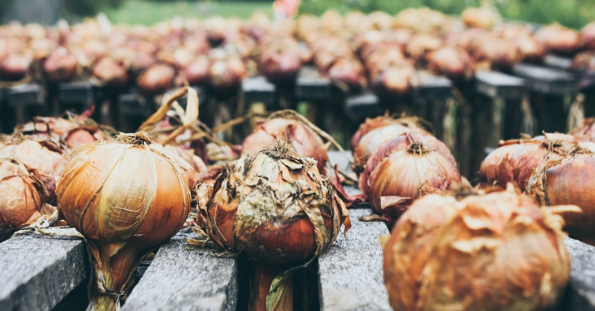 Crispy fried onion strings on a white plate.