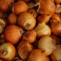 Crispy onion tanglers on a plate with dipping sauce. Crispy onion tanglers on a plate with dipping sauce.