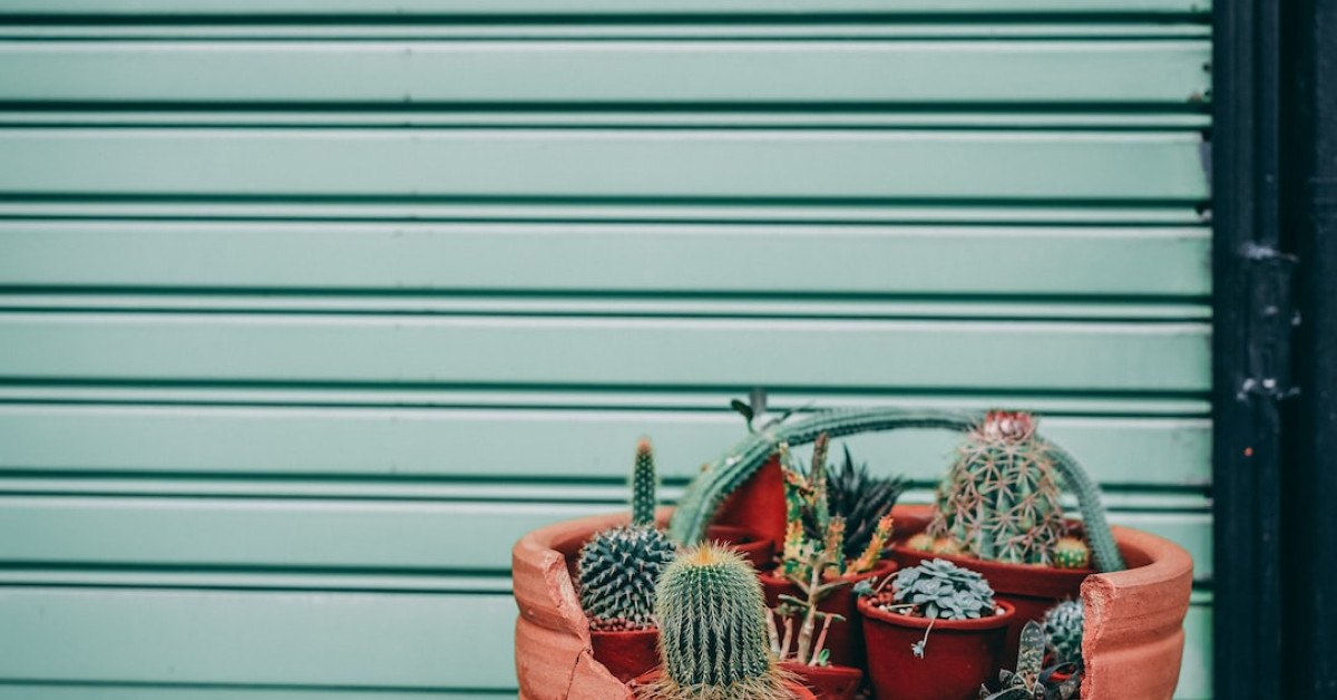 Succulent Lipton Onion Soup Pot Roast on a Plate.
