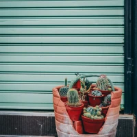 Succulent Lipton Onion Soup Pot Roast on a Plate. Succulent Lipton Onion Soup Pot Roast on a Plate.