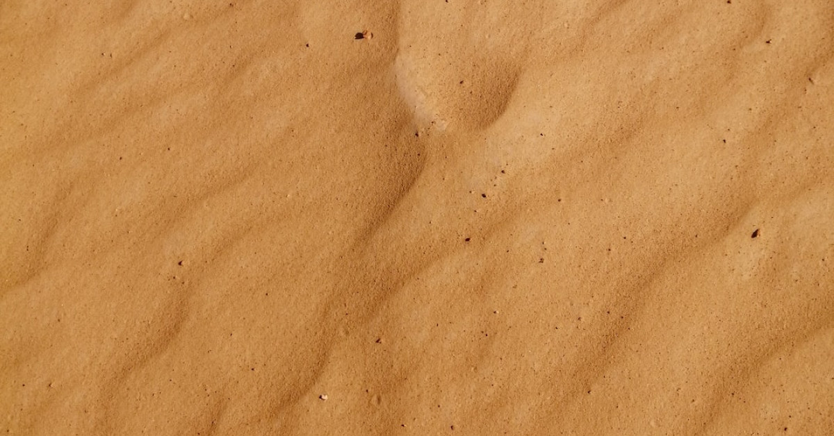 Gourmet brown butter sage gnocchi dish with vegetable garnish.