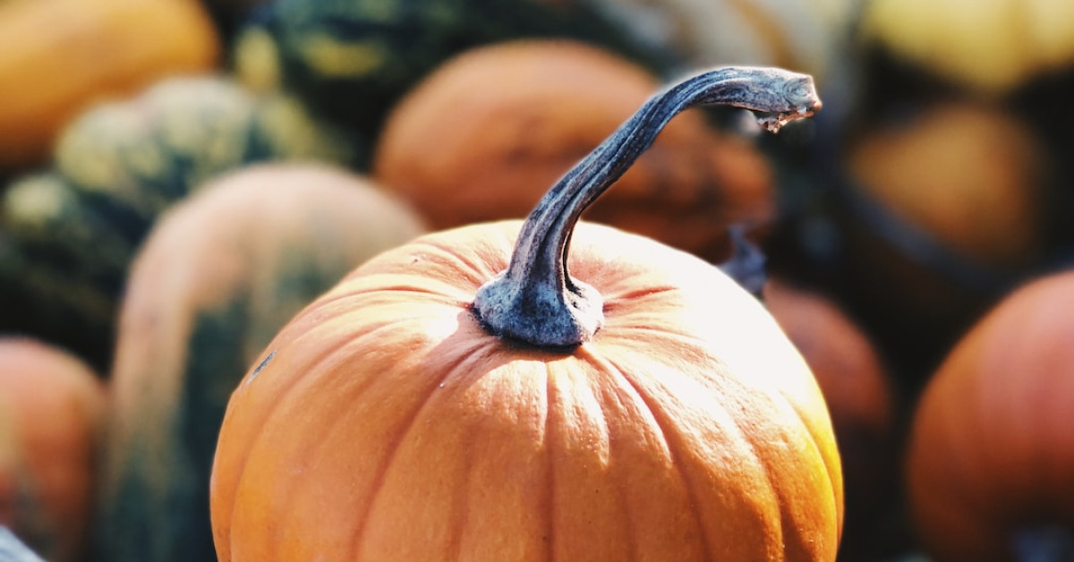 Pumpkin cream chai latte in a cozy autumn setting.