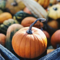 Pumpkin cream chai latte in a cozy autumn setting. Pumpkin cream chai latte in a cozy autumn setting.