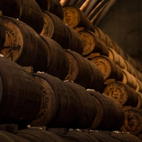 Exquisite barrel bowls presenting gourmet food trends in stylish dining. Exquisite barrel bowls presenting gourmet food trends in stylish dining.