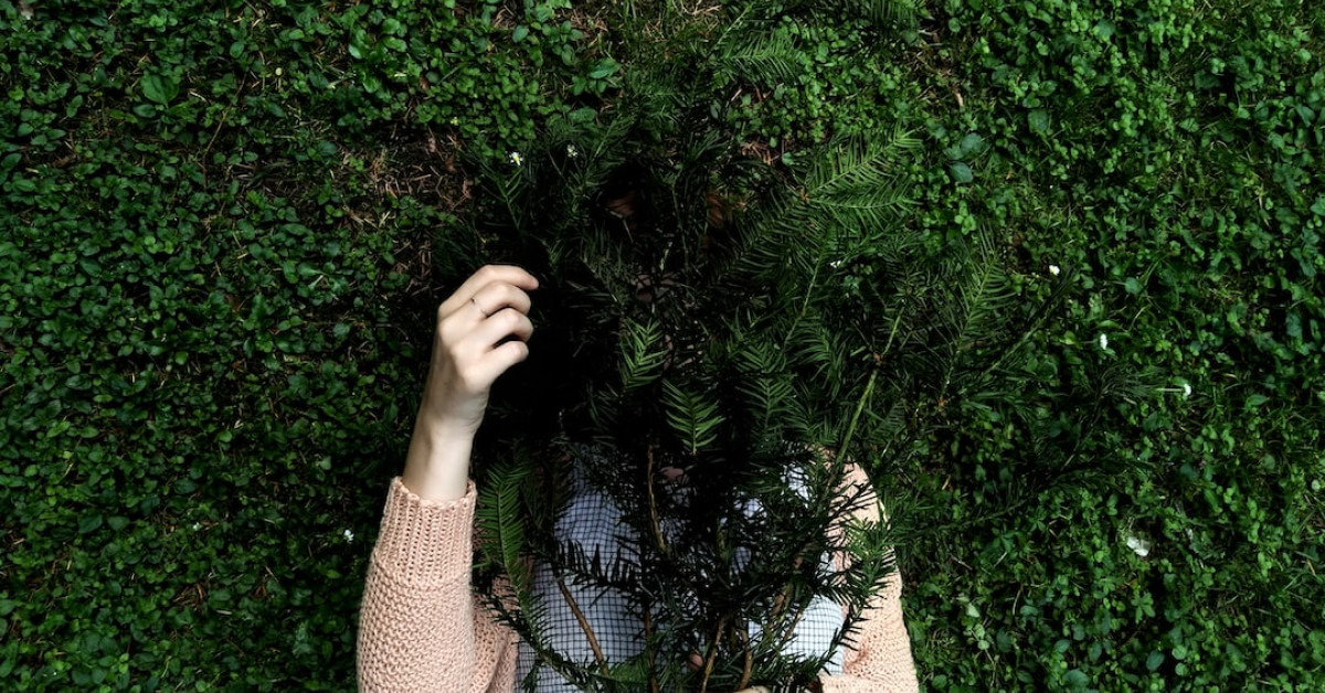 Easy 3-Ingredient Peanut Butter Veggie Fudge Recipe.