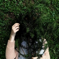 Easy 3-Ingredient Peanut Butter Veggie Fudge Recipe. Easy 3-Ingredient Peanut Butter Veggie Fudge Recipe.