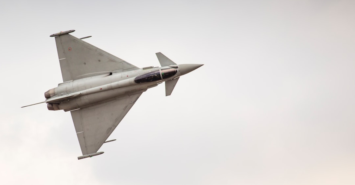 Air-fried crispy pork steaks with vegetables on a plate.