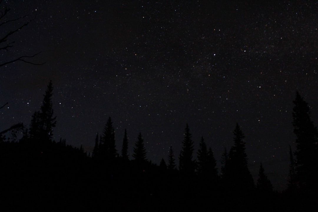 Guide to making chipotle black beans on wooden table.