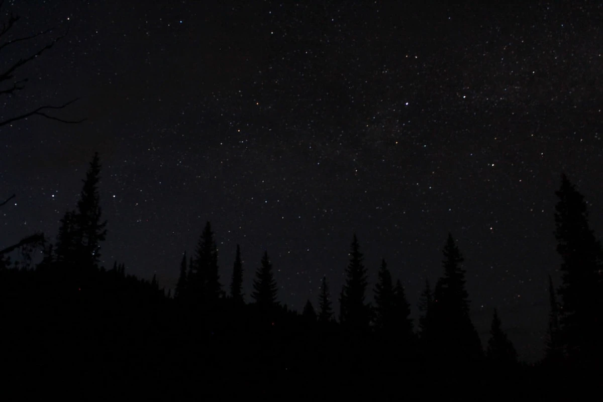 Guide to making chipotle black beans on wooden table.